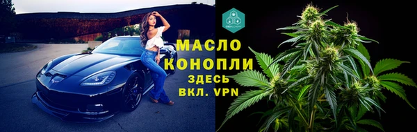 прущие грибы Корсаков