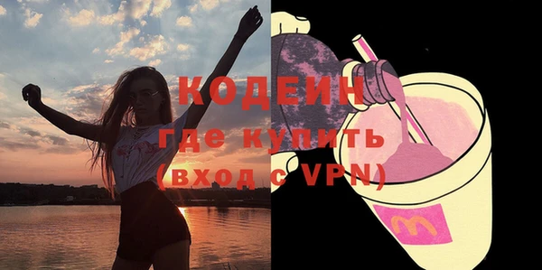 прущие грибы Корсаков