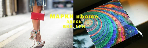 прущие грибы Корсаков