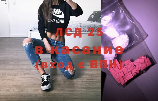 прущие грибы Корсаков