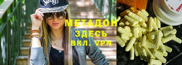 прущие грибы Корсаков