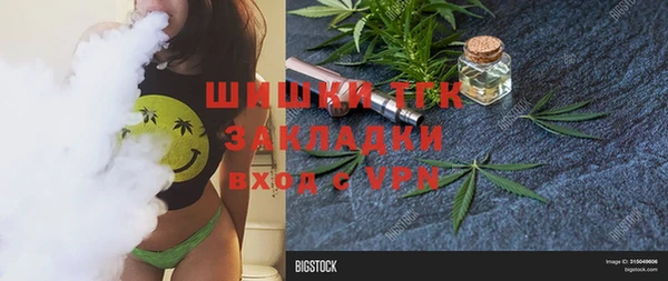 прущие грибы Корсаков