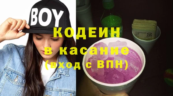 прущие грибы Корсаков
