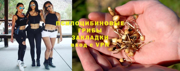 COCAINE Костерёво