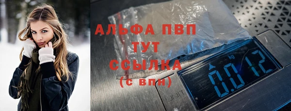 прущие грибы Корсаков