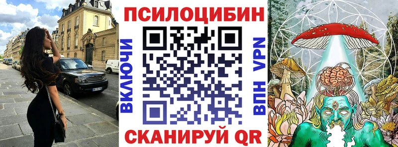 Псилоцибиновые грибы Psilocybine cubensis Ленинградская