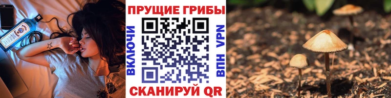 продажа наркотиков  Ленинградская  Галлюциногенные грибы мухоморы 